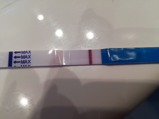 Home Pregnancy Test, Cycle Day 31