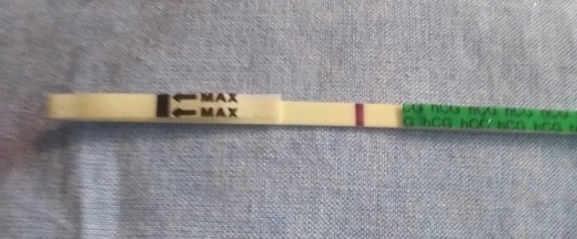 Home Pregnancy Test