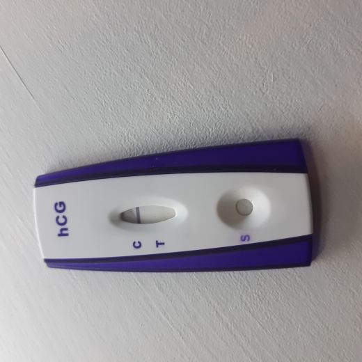 Home Pregnancy Test