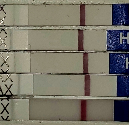 Home Pregnancy Test, 10 Days Post Ovulation, Cycle Day 27
