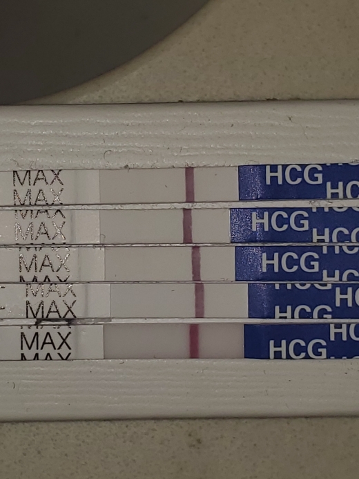 Home Pregnancy Test, 10 Days Post Ovulation, Cycle Day 27