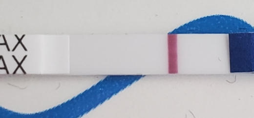 Home Pregnancy Test, 11 Days Post Ovulation, FMU, Cycle Day 28