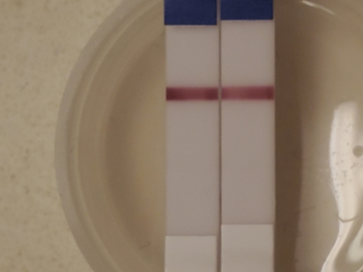 Home Pregnancy Test, 11 Days Post Ovulation, Cycle Day 28