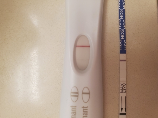 First Response Early Pregnancy Test, 12 Days Post Ovulation, Cycle Day 29