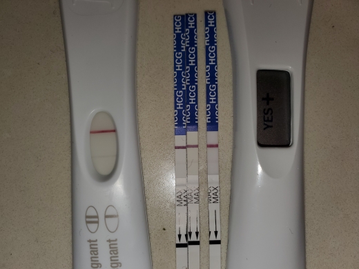 first-response-gold-digital-pregnancy-test-gallery-8662-whenmybaby