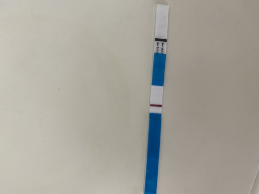 Home Pregnancy Test, 11 Days Post Ovulation