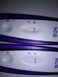 First Signal One Step Pregnancy Test, FMU