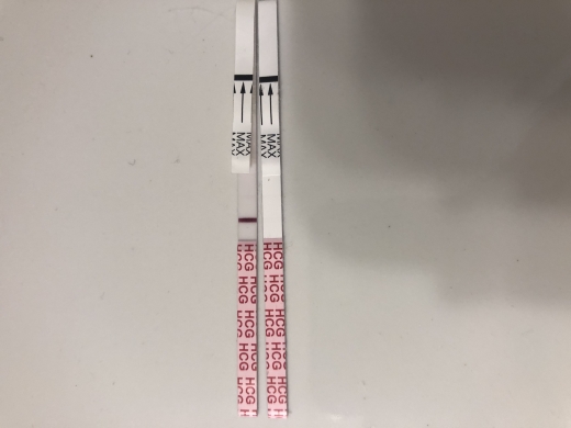 Generic Pregnancy Test, FMU