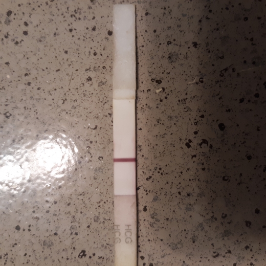 Home Pregnancy Test