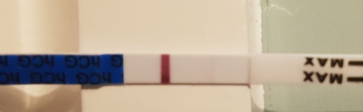 Home Pregnancy Test, 11 Days Post Ovulation