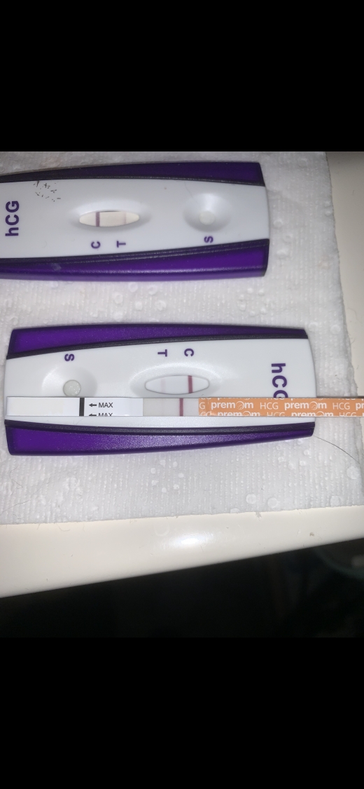 First Signal One Step Pregnancy Test