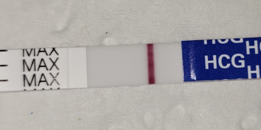 Home Pregnancy Test