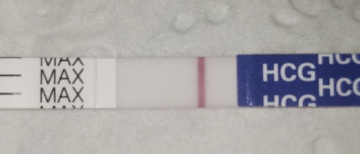 Home Pregnancy Test