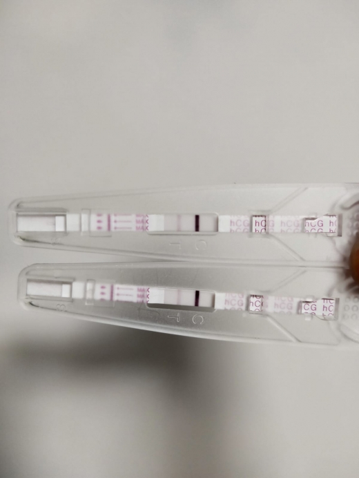 Home Pregnancy Test