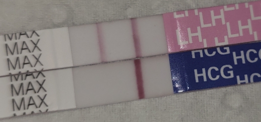 Home Pregnancy Test, 8 Days Post Ovulation