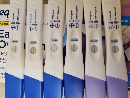 Home Pregnancy Test, 8 Days Post Ovulation