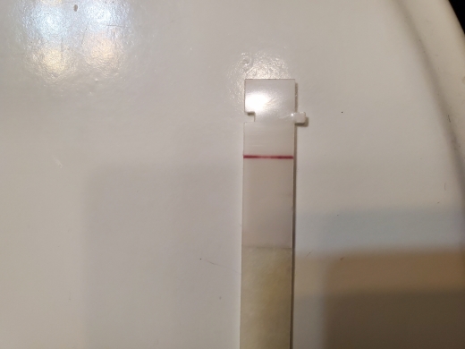 First Response Early Pregnancy Test, 8 Days Post Ovulation