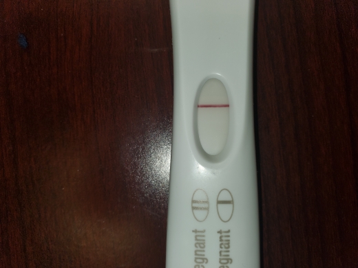 First Response Early Pregnancy Test