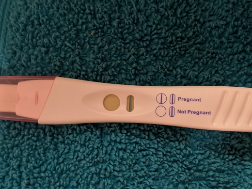 Home Pregnancy Test