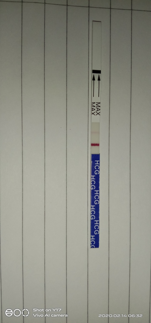 Home Pregnancy Test, 11 Days Post Ovulation, FMU