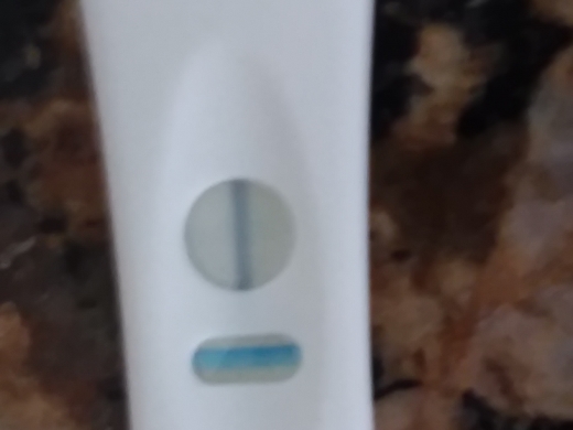 Home Pregnancy Test