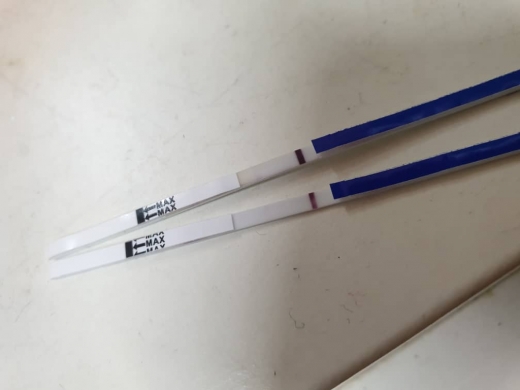 Home Pregnancy Test