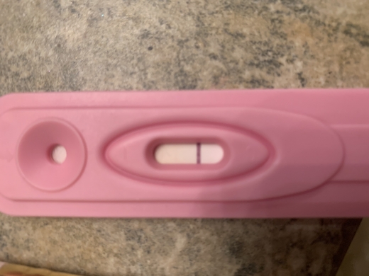 New Choice (Dollar Tree) Pregnancy Test