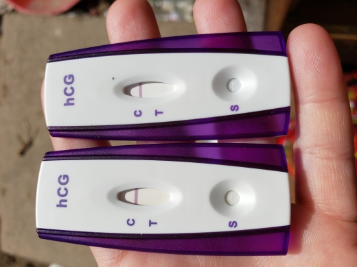 Home Pregnancy Test