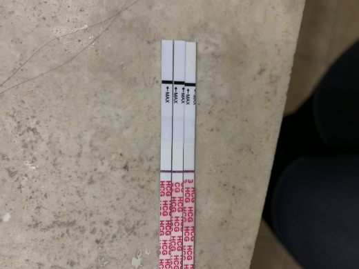 Wondfo Test Strips Pregnancy Test