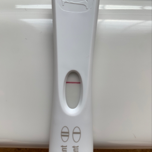 Home Pregnancy Test