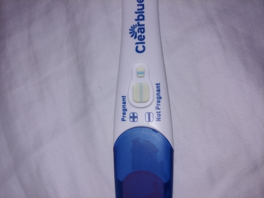 Home Pregnancy Test