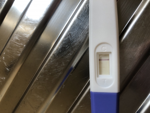 Home Pregnancy Test