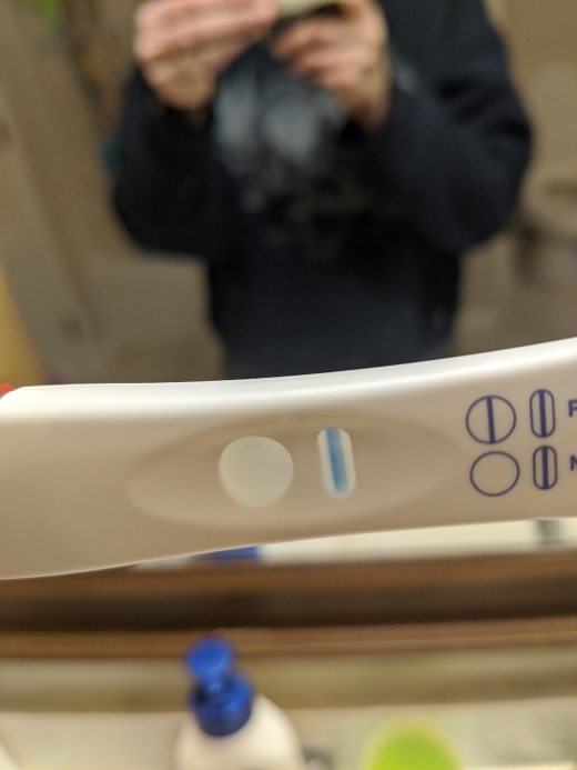 Equate Pregnancy Test, 12 Days Post Ovulation, Cycle Day 26