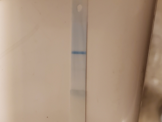 Equate Pregnancy Test, 14 Days Post Ovulation, Cycle Day 28
