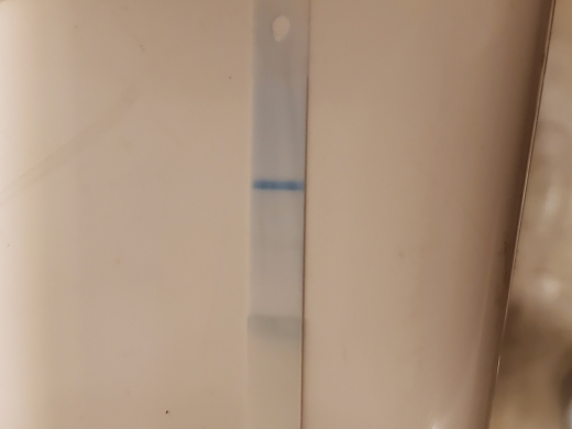 Equate One Step Pregnancy Test, 14 Days Post Ovulation, Cycle Day 28