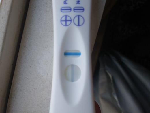 Home Pregnancy Test