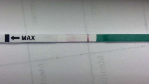 Wondfo Test Strips Pregnancy Test, Cycle Day 31