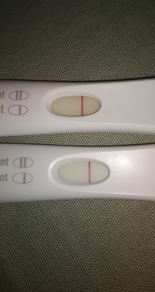 First Response Early Pregnancy Test