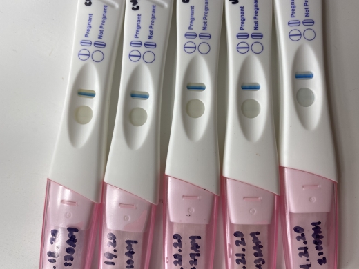 CVS Early Result Pregnancy Test