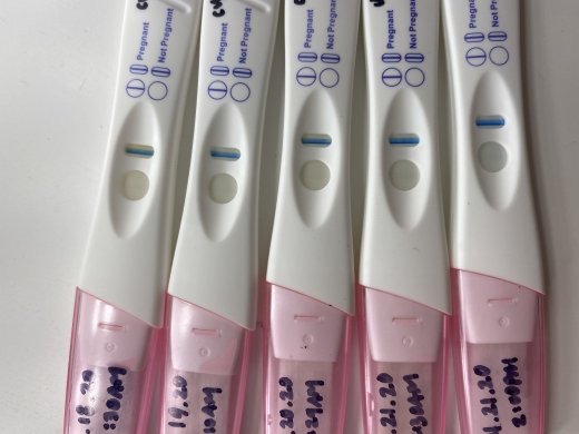 CVS Early Result Pregnancy Test