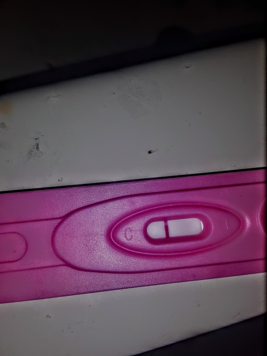 New Choice (Dollar Tree) Pregnancy Test, 11 Days Post Ovulation