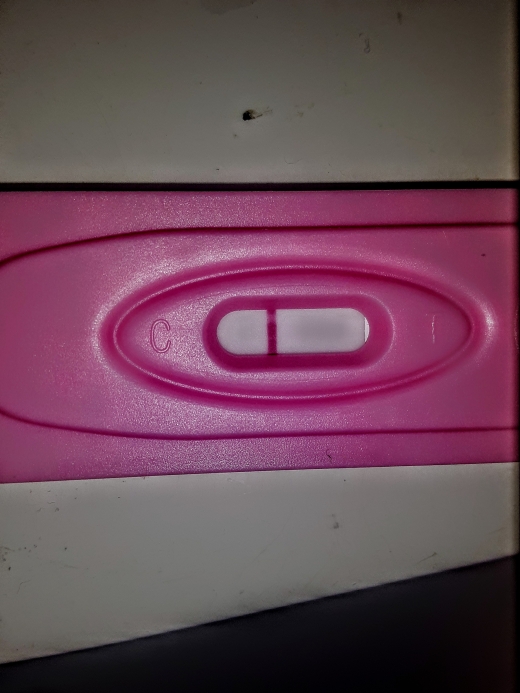 New Choice (Dollar Tree) Pregnancy Test, 11 Days Post Ovulation