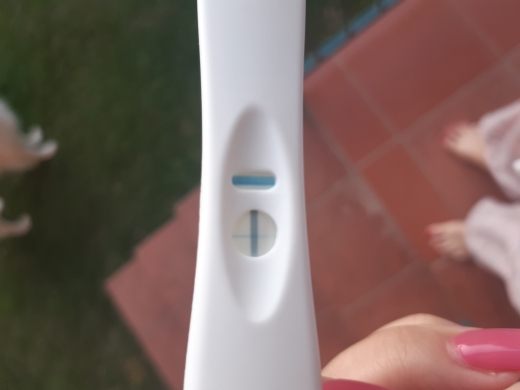 Home Pregnancy Test