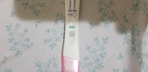 Home Pregnancy Test