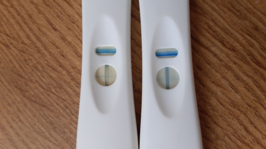 Home Pregnancy Test