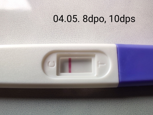 Home Pregnancy Test, 8 Days Post Ovulation, FMU