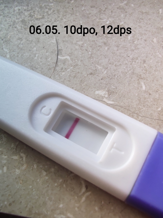 Home Pregnancy Test, 10 Days Post Ovulation, FMU