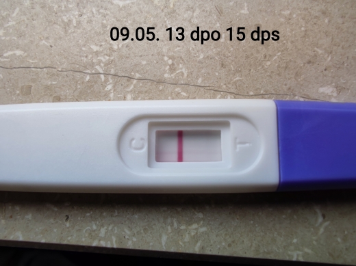 Home Pregnancy Test, 13 Days Post Ovulation, FMU