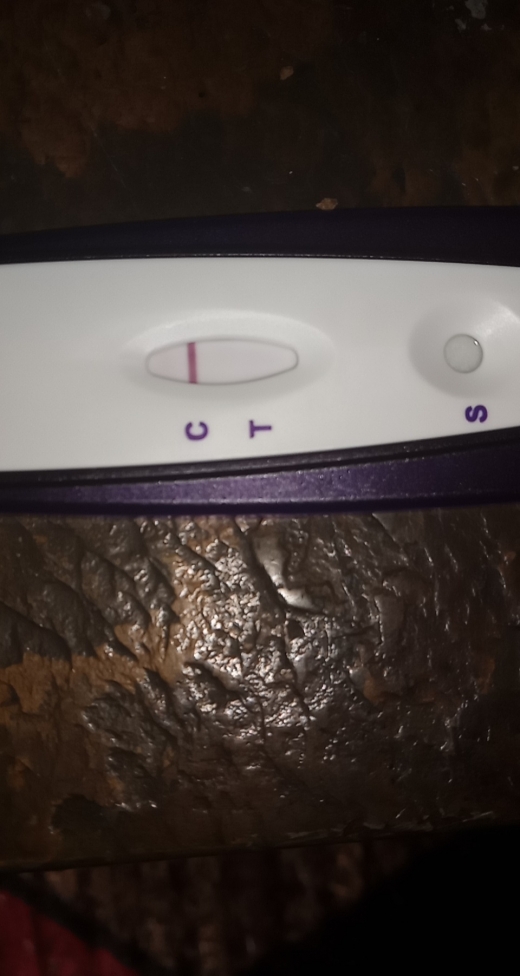 Home Pregnancy Test