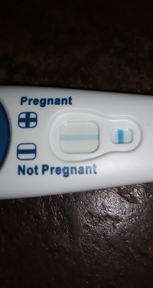 Clearblue Plus Pregnancy Test